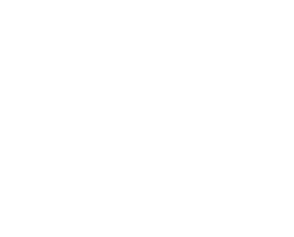 Dynamic Travel Group